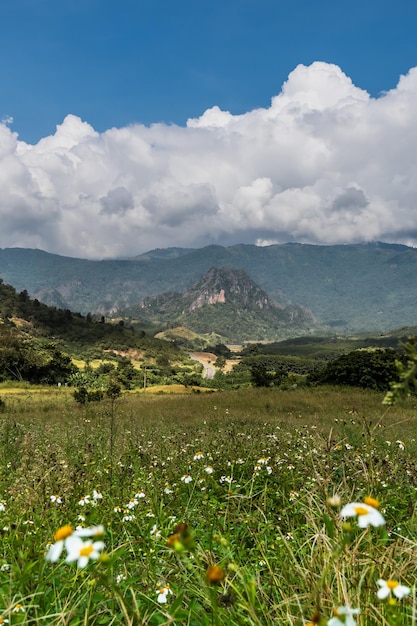 Landschaft Berg mit Straße in Nan Thailand