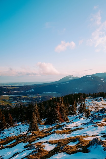 Landschaft Berge und Wald im Winter