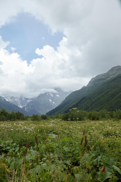 Landschaft, Bergpanorama, Almwiesen und Berggipfel im Eis, ein kleines Haus am Berghang