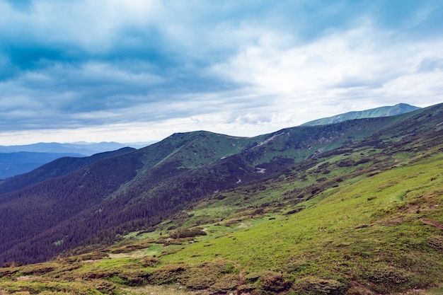 Landschaft bestehend aus einem Karpatengebirge mit grünem Gras