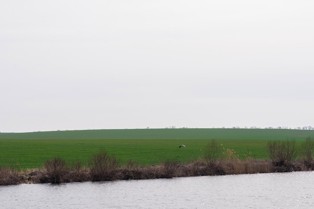 Landschaft blauer Himmel Bäume und ein See Frühlingslandschaft