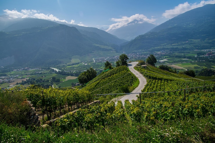Foto landschaft der alpen in der schweiz im sommer