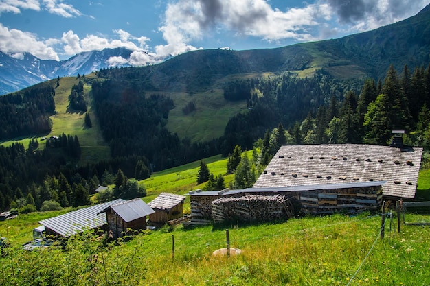 Landschaft der Alpen in Frankreich im Sommer