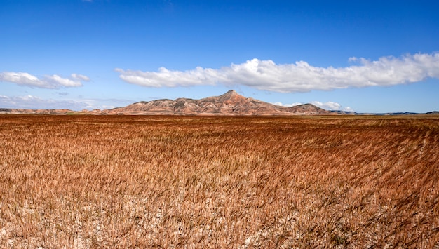 Landschaft der Bardenas Wüste, Tudela, Navarra, Spanien