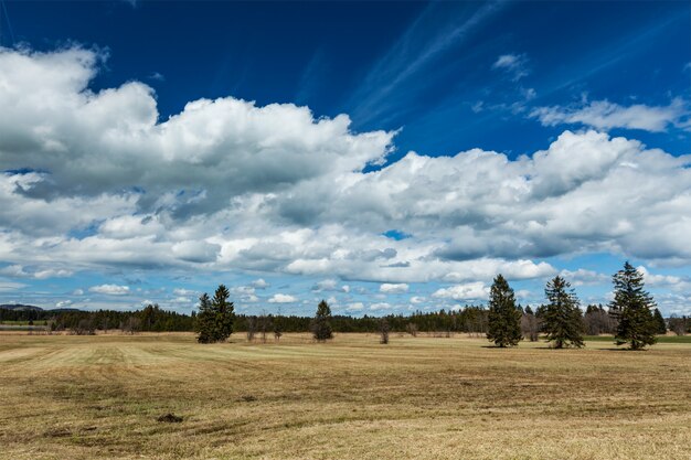 Landschaft der bayerischen Alpen