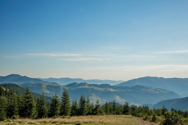 Landschaft der Berge mit grünen Bäumen