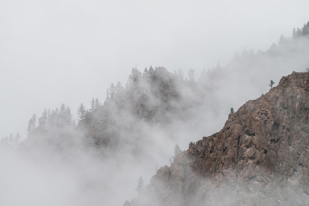 Landschaft der Berge mit Nebel