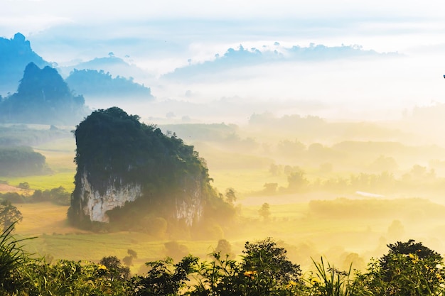 Landschaft der Berge Nebel Phu Lanka Nationalpark Phayao Provinz nördlich von Thailand