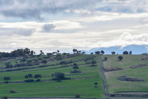 Landschaft der Dehesa cerealistica der östlichen Berge von Granada - Spanien