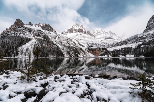 Landschaft der felsigen Berge mit Schnee bedeckt im See O'hara am Yoho-Nationalpark