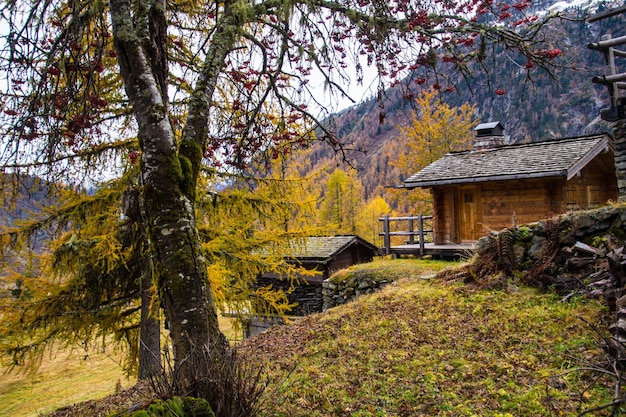 Landschaft der französischen Alpen im Herbst