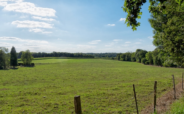 Landschaft der französischen Landschaft