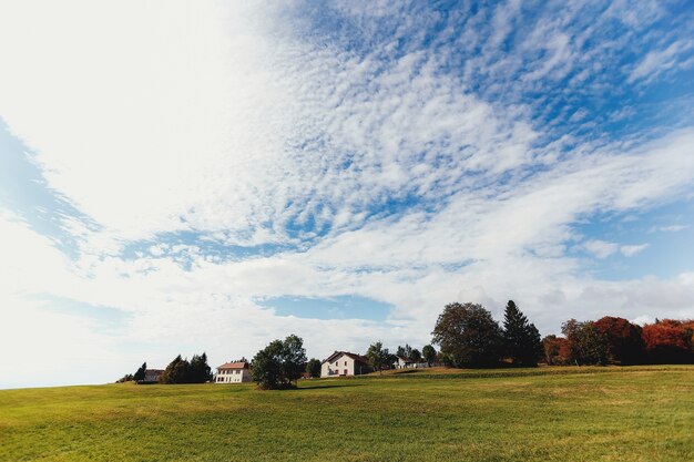 Landschaft der grünen Felder, Privathäuser in der Ferne, schöne Wolken im Himmel