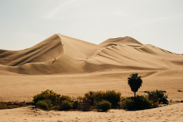 Landschaft der Huacachina-Wüste in Ica Peru