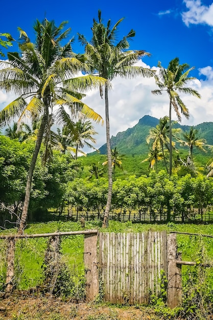 Landschaft der Insel Sumbava