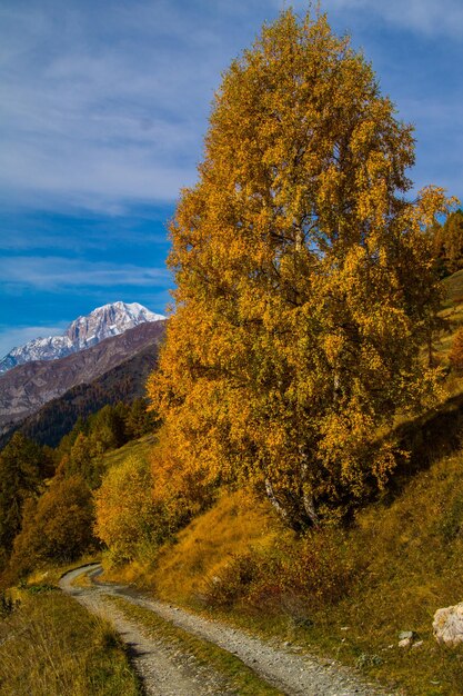 Landschaft der italienischen Alpen im Herbst
