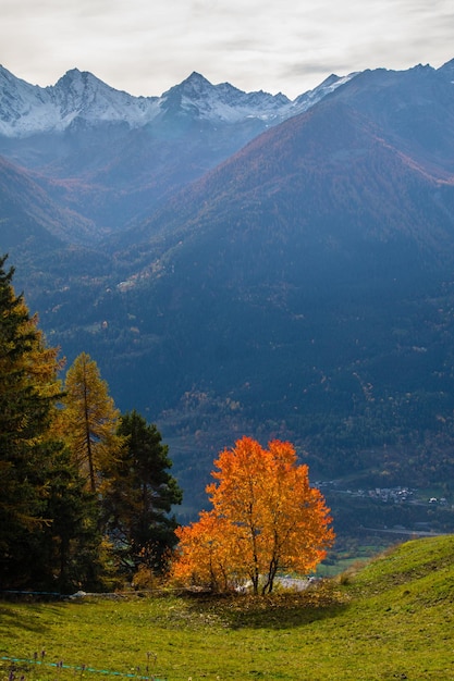 Landschaft der italienischen Alpen im Herbst