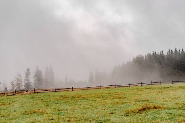 Landschaft der Karpaten