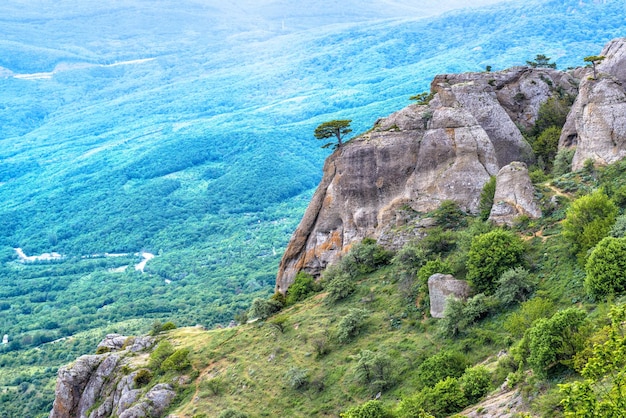 Landschaft der Krim im Sommer Russland