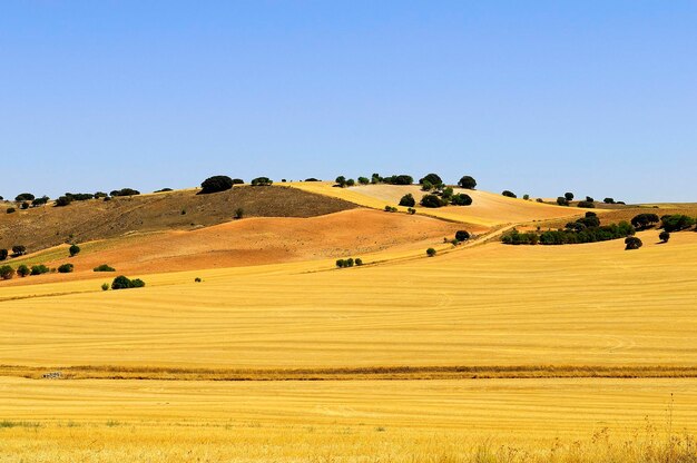 Landschaft der La Mancha-Felder in Cuenca