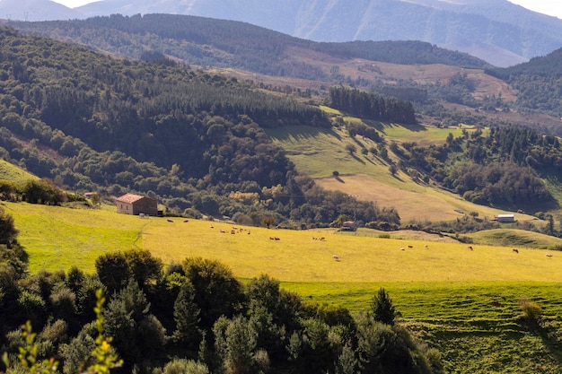 Landschaft der ländlichen Landschaft des Passtals