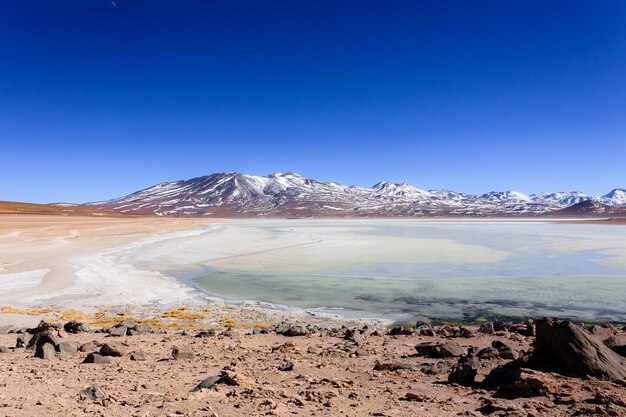 Landschaft der Laguna BlancaBolivien