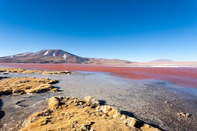 Landschaft der Laguna Colorada, Bolivien. Schönes bolivianisches Panorama. Lagune mit rotem Wasser