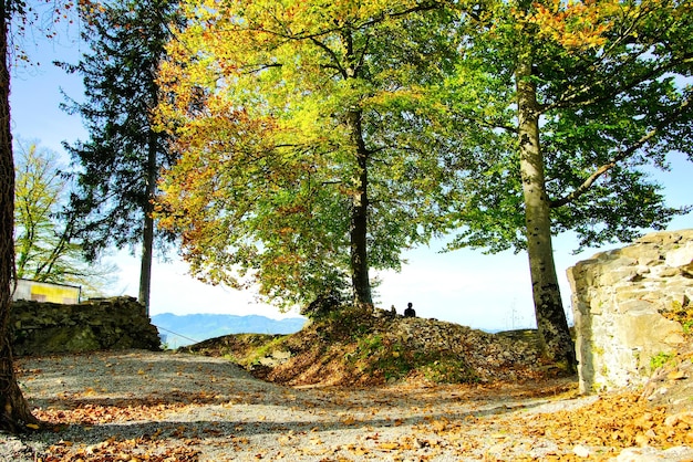 Landschaft der Natur mit unkenntlichem Paar in der Ferne