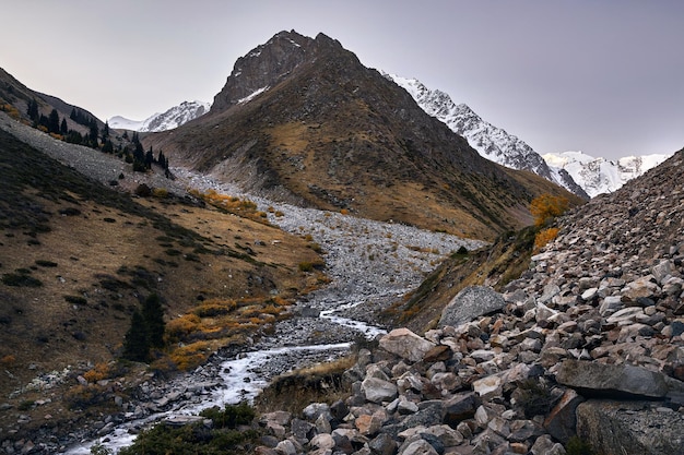 Landschaft der schönen Berge