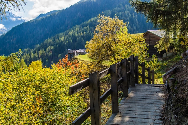 Landschaft der Schweizer Alpen im Herbst