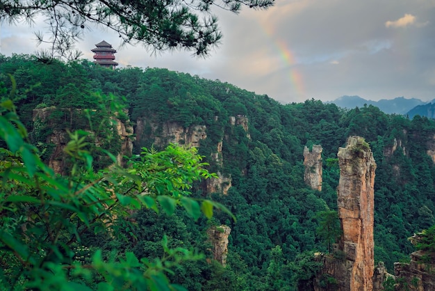 Landschaft der Steinpfeiler des Tianzi-Gebirgs in Zhangjiajie