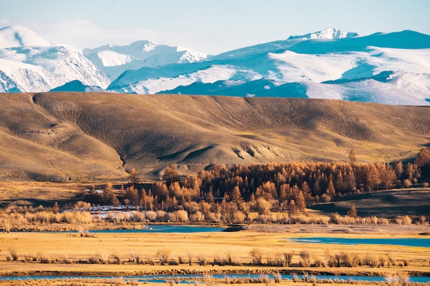 Landschaft der Steppe mit Seen und Bäumen