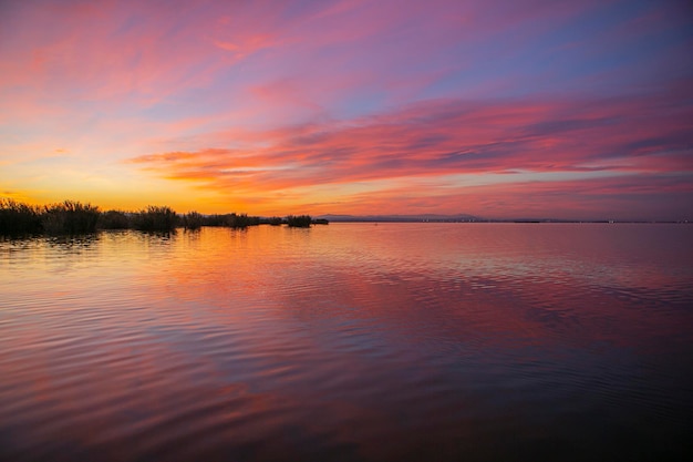 Landschaft der Süßwasserlagune im Naturpark Albufera in Valencia, Spanien