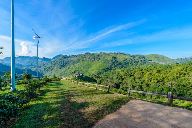 Landschaft der Teeplantage bei Doi Ang Khang