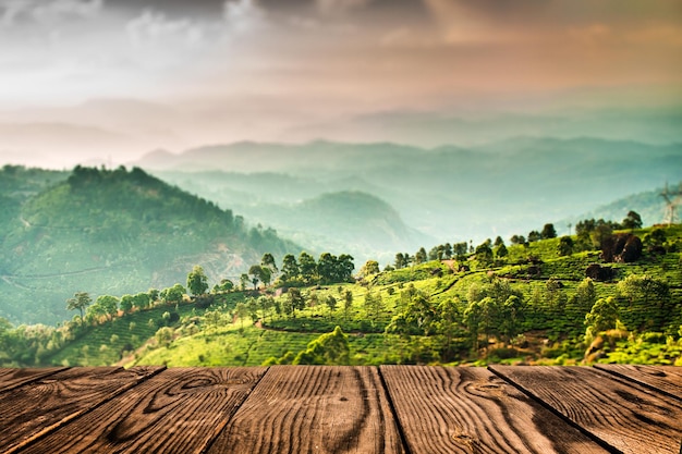 Landschaft der Teeplantagen in Indien, Kerala Munnar. (Tilt-Shift-Objektiv)