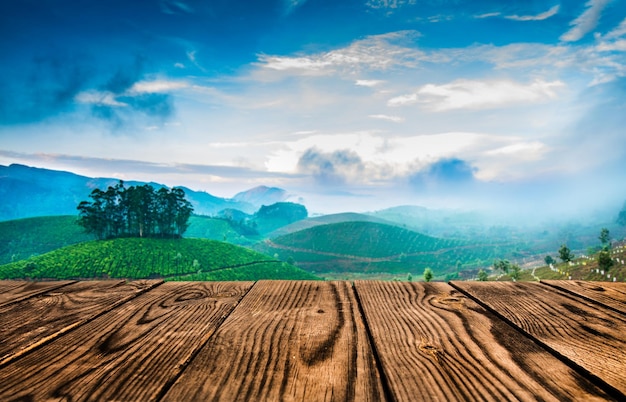 Landschaft der Teeplantagen in Indien, Kerala Munnar.