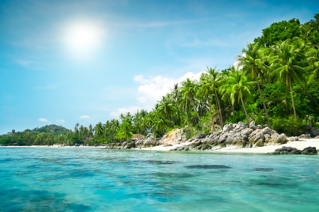 Landschaft der tropischen Insel