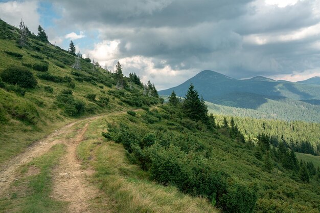 Foto landschaft der ukrainischen karpaten, der bergstraße und des bewölkten himmels