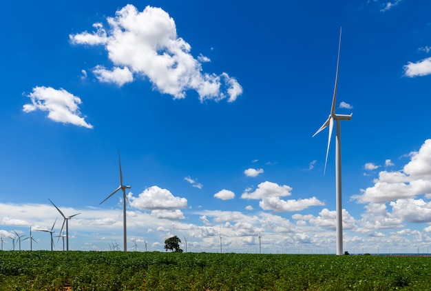 Landschaft der Windmühlen und des blauen Himmels