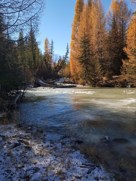 Landschaft des Altai-Gebirges und kleiner Fluss in Sibirien Altai-Republik Russland