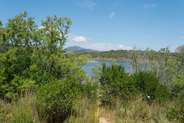 Landschaft des Baratzersees