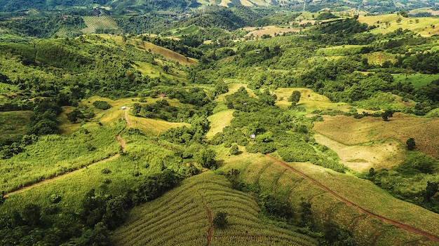 Landschaft des Berges in Nan-Provinz Thailand