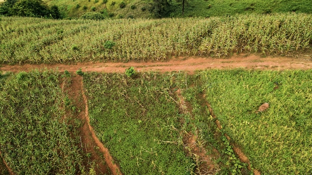 Landschaft des Berges in Nan-Provinz Thailand