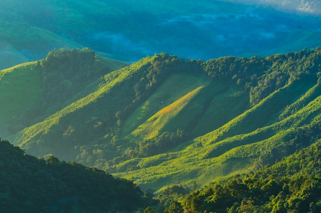 Landschaft des Berges mit Nebel in Nan-Provinz Thailand