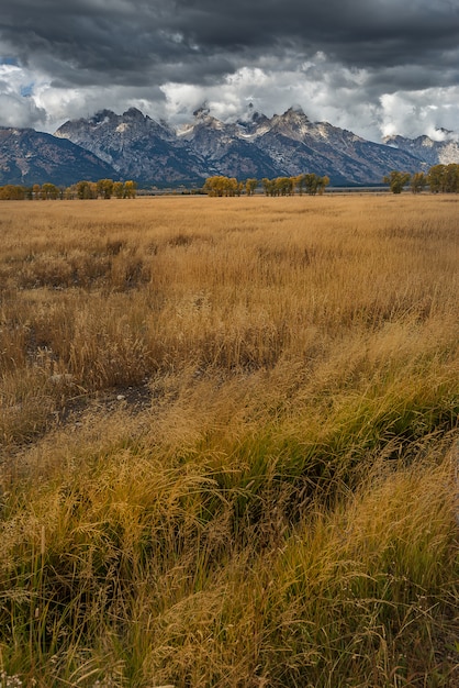 Landschaft des Grand Teton National Park