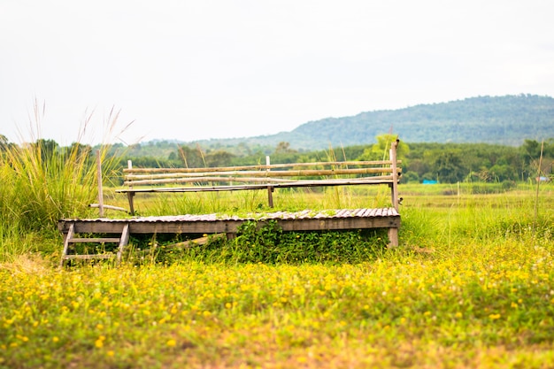 Foto landschaft des holzstuhls auf gelbem blumenfeld