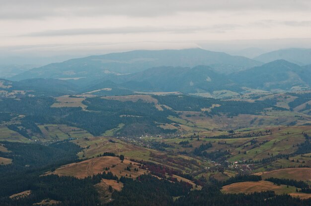 Landschaft des kleinen Dorfes am Wald