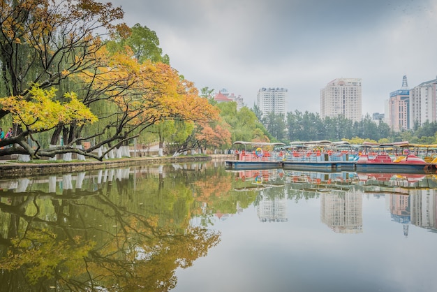 Landschaft des Kunming Stadtparks