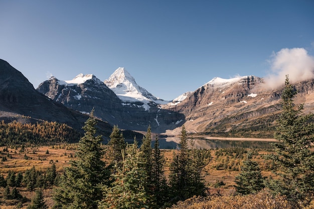 Landschaft des Mount Assiniboine mit Lake Magog im Herbstwald im Provinzpark BC Kanada