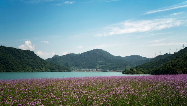 Landschaft des Qiandao-Sees in Hangzhou